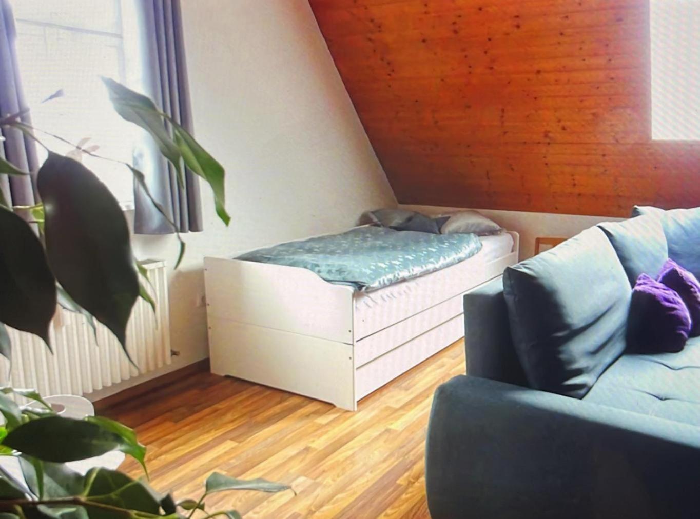Ferienwohnung An Den Itzauen Großheirath エクステリア 写真